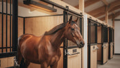 Infrarood verwarming voor dierenverblijf: comfort en gezondheid voor elk dier