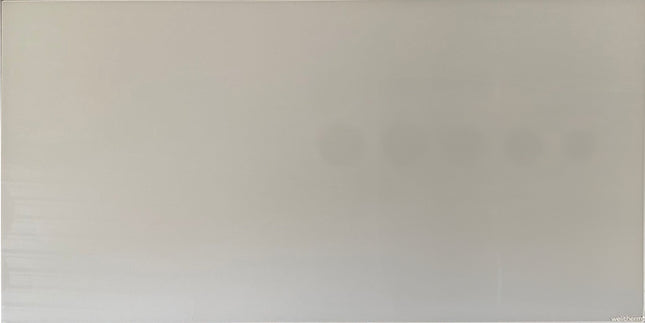 Miroir à panneau infrarouge Welltherm 780W