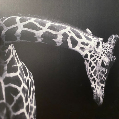 Ecaros Infrared Panel Metal - 400 Watt - GIRAFFE - OUTLET