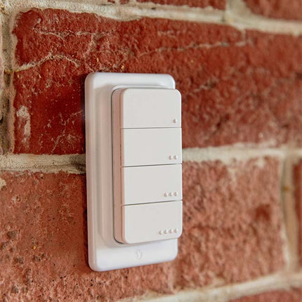 Shelly BLU RC Button 4