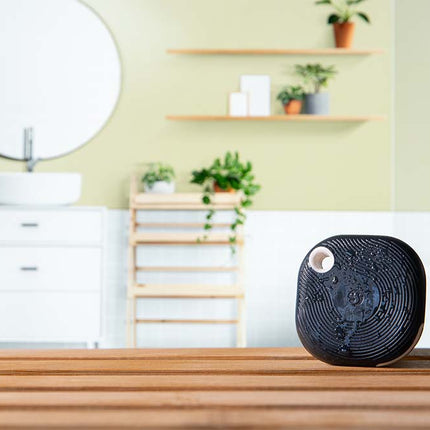 Shelly BLU Button Tough 1